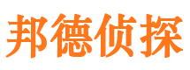 狮子山市场调查